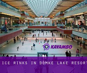 Ice Rinks in Domke Lake Resort
