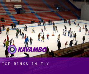 Ice Rinks in Fly