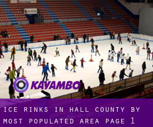 Ice Rinks in Hall County by most populated area - page 1