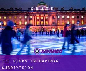 Ice Rinks in Hartman Subdivision