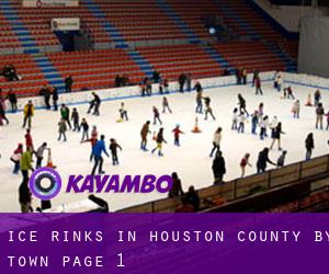Ice Rinks in Houston County by town - page 1