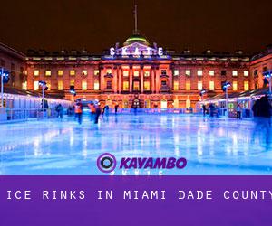 Ice Rinks in Miami-Dade County