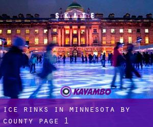 Ice Rinks in Minnesota by County - page 1