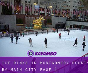 Ice Rinks in Montgomery County by main city - page 1