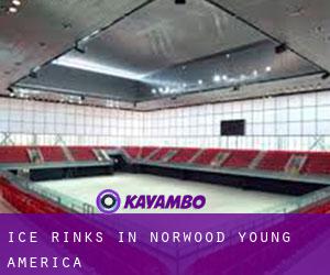 Ice Rinks in Norwood Young America