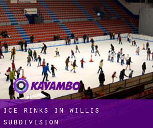 Ice Rinks in Willis Subdivision