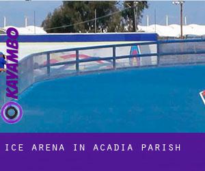 Ice Arena in Acadia Parish