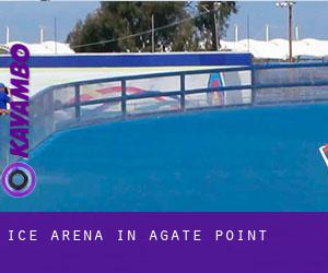 Ice Arena in Agate Point