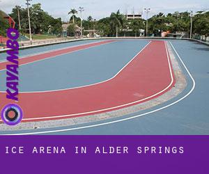 Ice Arena in Alder Springs