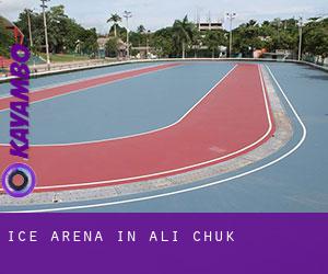 Ice Arena in Ali Chuk