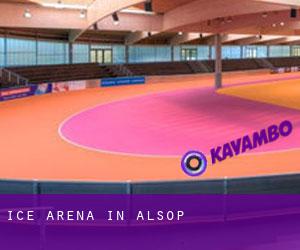 Ice Arena in Alsop