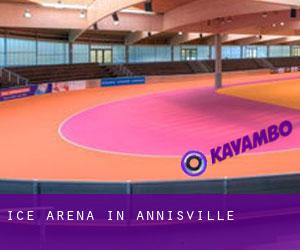 Ice Arena in Annisville