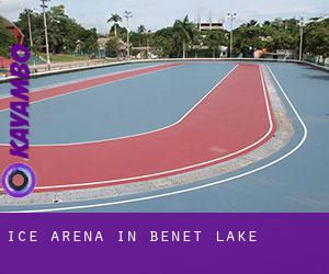 Ice Arena in Benet Lake