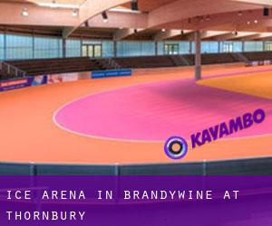 Ice Arena in Brandywine at Thornbury