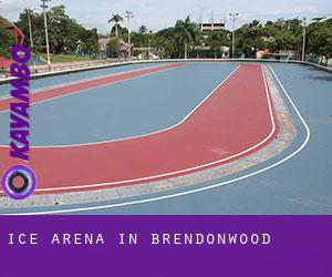 Ice Arena in Brendonwood