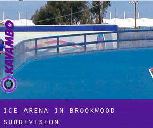 Ice Arena in Brookwood Subdivision