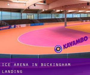 Ice Arena in Buckingham Landing