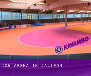 Ice Arena in Califon