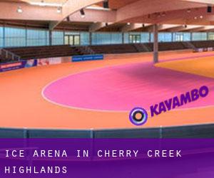Ice Arena in Cherry Creek Highlands