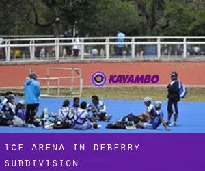 Ice Arena in Deberry Subdivision