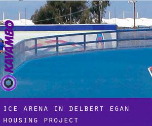 Ice Arena in Delbert Egan Housing Project