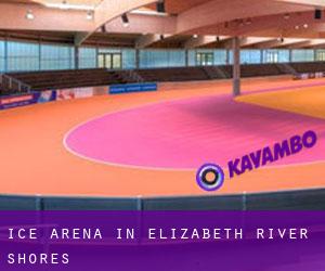 Ice Arena in Elizabeth River Shores