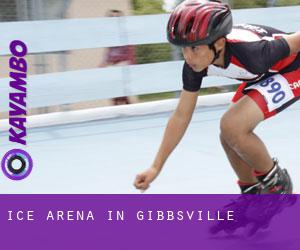 Ice Arena in Gibbsville