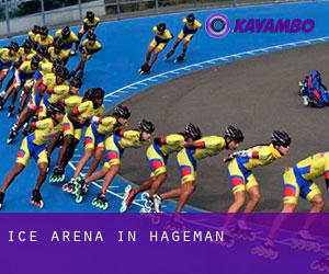 Ice Arena in Hageman