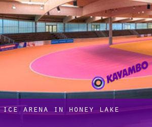 Ice Arena in Honey Lake