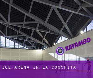 Ice Arena in La Conchita