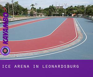 Ice Arena in Leonardsburg