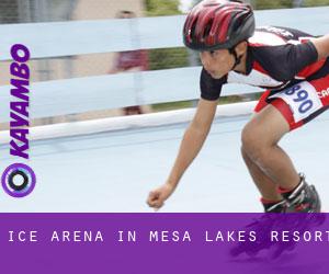 Ice Arena in Mesa Lakes Resort