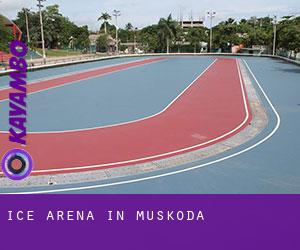 Ice Arena in Muskoda