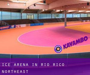 Ice Arena in Rio Rico Northeast