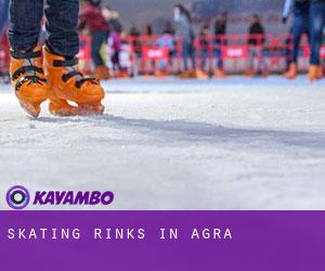 Skating Rinks in Agra