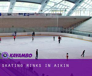 Skating Rinks in Aikin