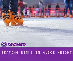 Skating Rinks in Alice Heights