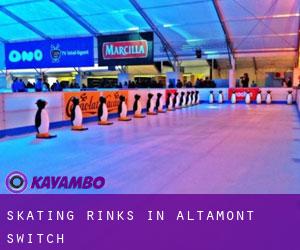 Skating Rinks in Altamont Switch