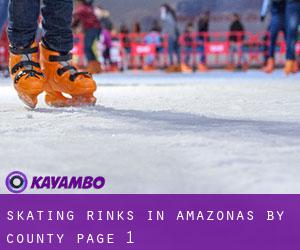 Skating Rinks in Amazonas by County - page 1