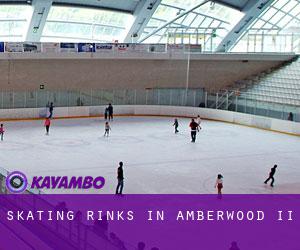 Skating Rinks in Amberwood II