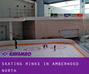 Skating Rinks in Amberwood North