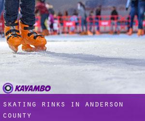 Skating Rinks in Anderson County