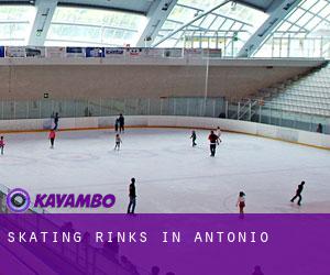 Skating Rinks in Antonio