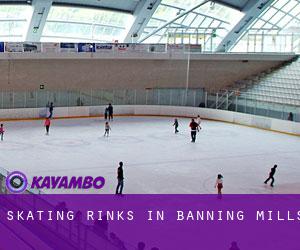 Skating Rinks in Banning Mills