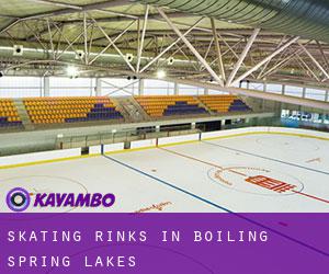 Skating Rinks in Boiling Spring Lakes