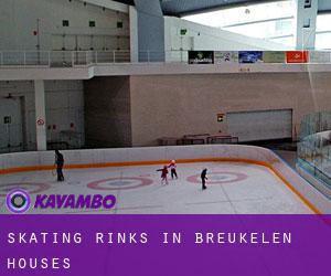 Skating Rinks in Breukelen Houses