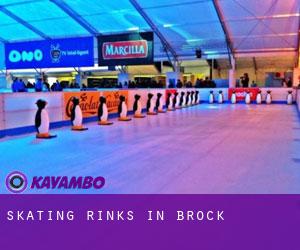 Skating Rinks in Brock
