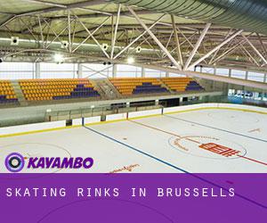 Skating Rinks in Brussells