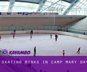 Skating Rinks in Camp Mary Day