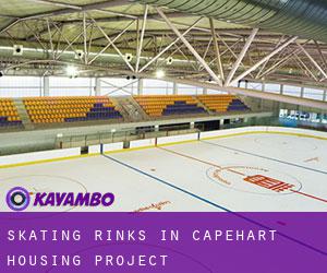 Skating Rinks in Capehart Housing Project